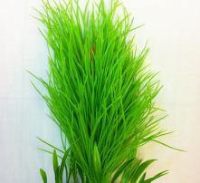 高清图片中的农副产品之美