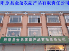 进出口代理助力发展 阳原县金弟农副产品有限责任公司的农副产品全球化之路