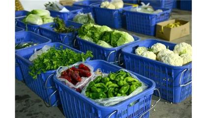 农副产品配送 连接田间与餐桌的现代桥梁