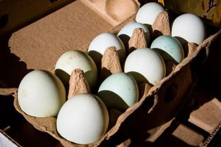 爱心汇聚，携手同行——为大兴乡支前村农副产品开拓新销路