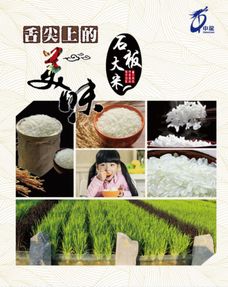 牡丹江中龙农副产品 年货大集上的一抹亮色与黑土馈赠