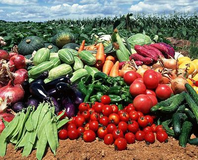 农副产品“价贱伤农”背后 价格低迷为何仍陷销售困境？