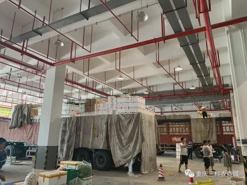 风雨同舟,共抗疫情 三科农商城为重庆抗疫助力，与大家共渡难关
