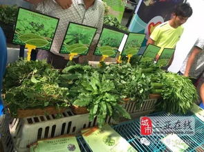 三亚市扶贫农产品展销会 农副产品引围观，创意无限人潮涌动